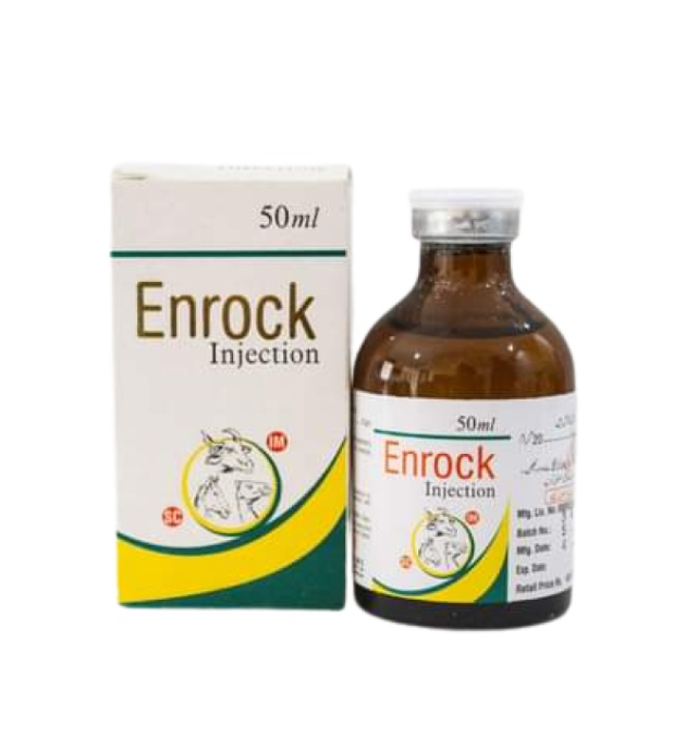 Enrock