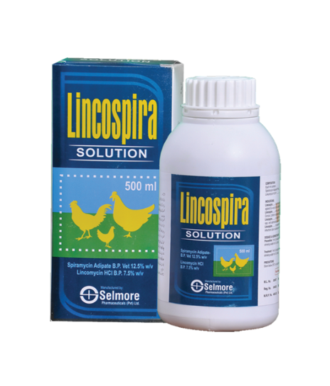 Lincospira